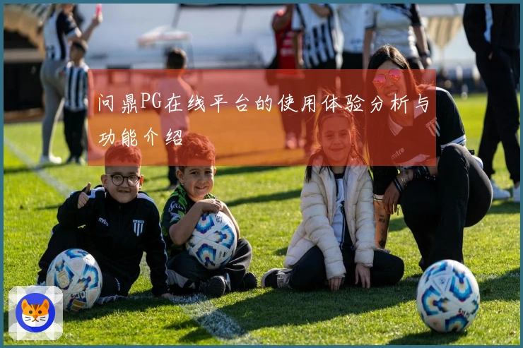 问鼎PG在线平台的使用体验分析与功能介绍