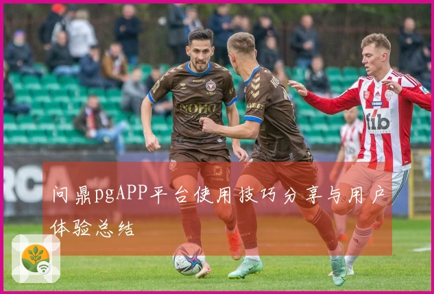 问鼎pgAPP平台使用技巧分享与用户体验总结