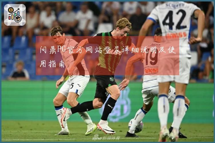 问鼎PG官方网站登录详细说明及使用指南