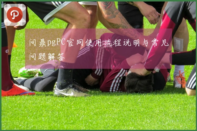 问鼎pgPC官网使用流程说明与常见问题解答