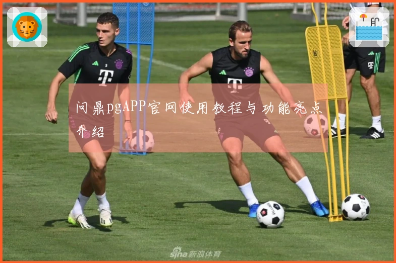 问鼎pgAPP官网使用教程与功能亮点介绍